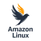 Amazon Linux 2