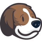 Beagle Financial