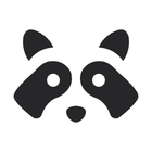 Ranking Raccoon
