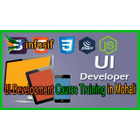 UI Development Course